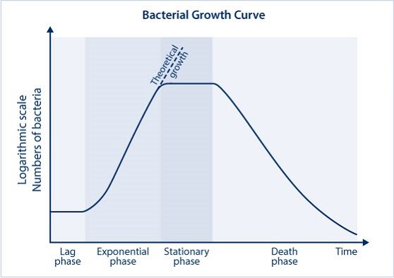 The figure shows the ideal growth curve of a bacterial culture in a bioreactor