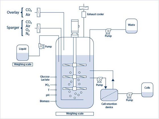 Schematic overview of bioreactor process