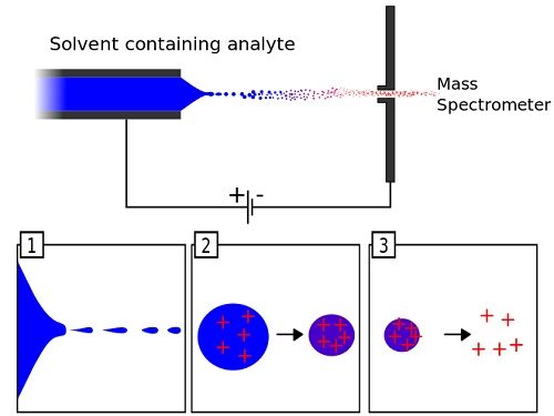 Electrospray ionization (ESI)
