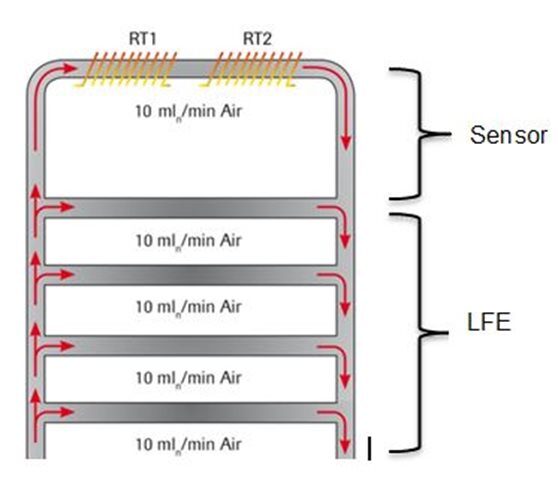 Shunt principle of the laminar flow element (LFE); only a part of the gas flow will flow through the sensor. The rest flow will flow through the LFE.